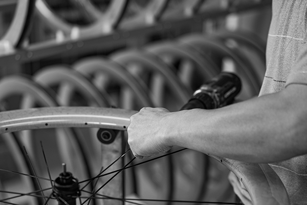 Random stock image 4